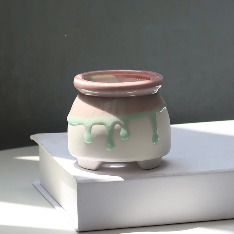 Lithops Succulents Flower Pot Set Combination