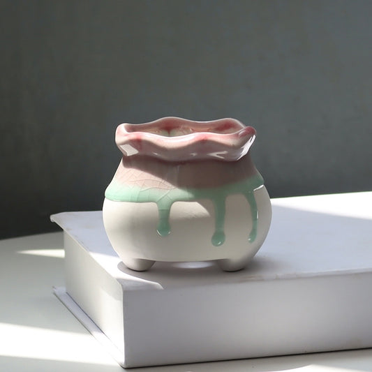 Lithops Succulents Flower Pot Set Combination