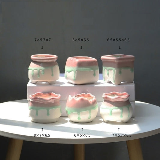 Lithops Succulents Flower Pot Set Combination
